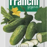 IT Uhorka naklad. Piccolo di Parigi