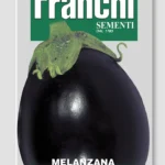 IT Baklažán Black beauty