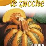 IT Tekvica Americana Tonda