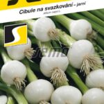 S Cibuľa Ranila
