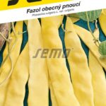 S Fazuľa Meaviglia di venezia