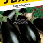 S Baklažán česky ranný