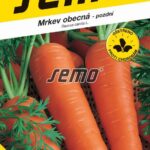 S Mrkva nes.Berlicumer