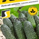 S Uhorka Dafne F1