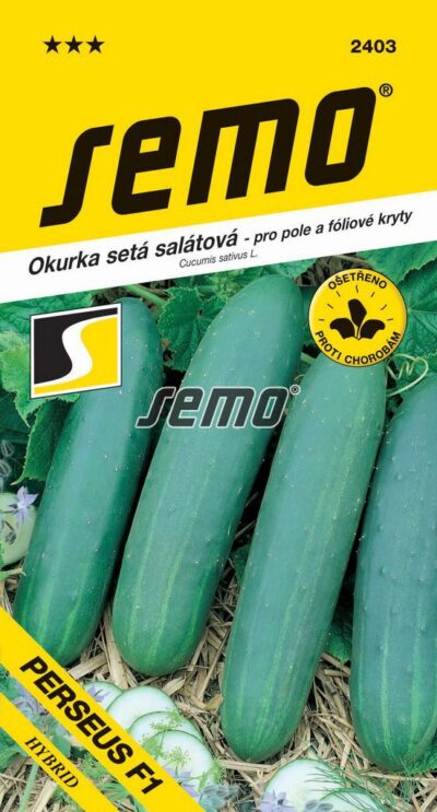 S Uhorka Perseus F1