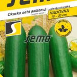 S Uhorka Paladinka F1