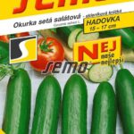 S Uhorka Minisprint F1