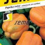 S Paprika Oreny F1