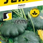 S Patizon Greendisc F1