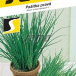 S Pažitka Pražská