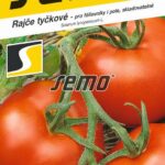 S Rajčiak Torino F1