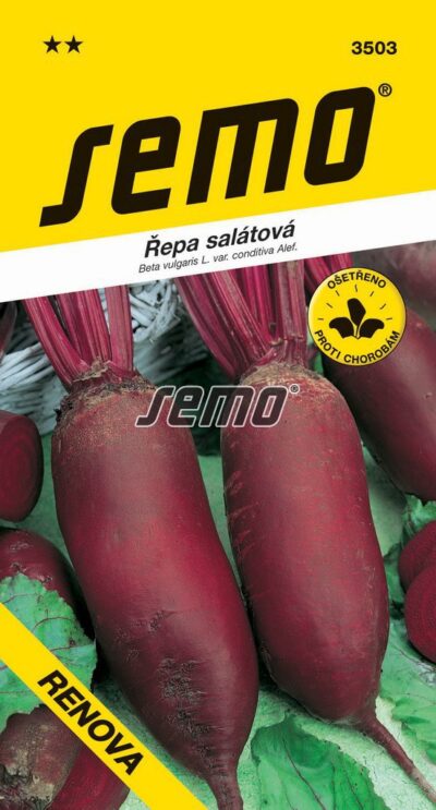 S Cvikla Renova