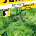 S Šalát Merkúrion