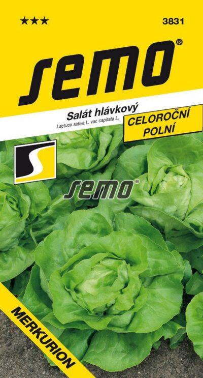 S Šalát Merkúrion