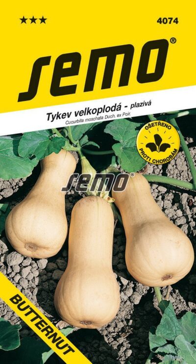 S Tekvica Butternut