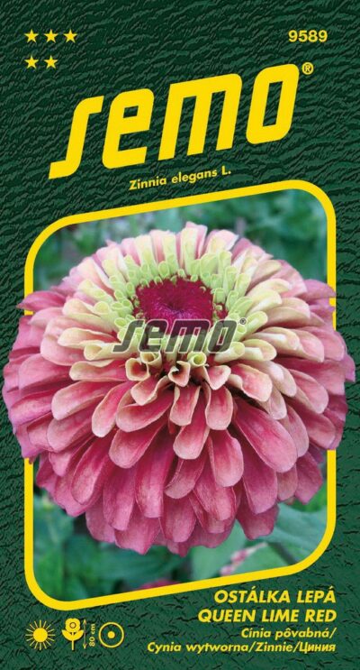 S Cínia Queen Lime red 9589