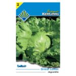 K Šalát ľadový celor. Great Lakes 2g