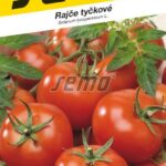 S Rajčiak Niki Zel F1