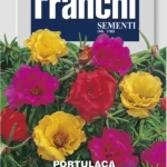 IT Portulaka dvojfarebný mix