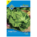 K Šalat hlávkový Kobak 3g