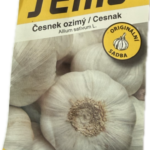 Cesnak Štepan jesen. nepaličák /4cibule/
